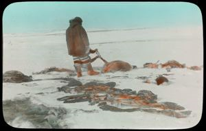 Image: Load Scattered Over Trail, Baffin Land